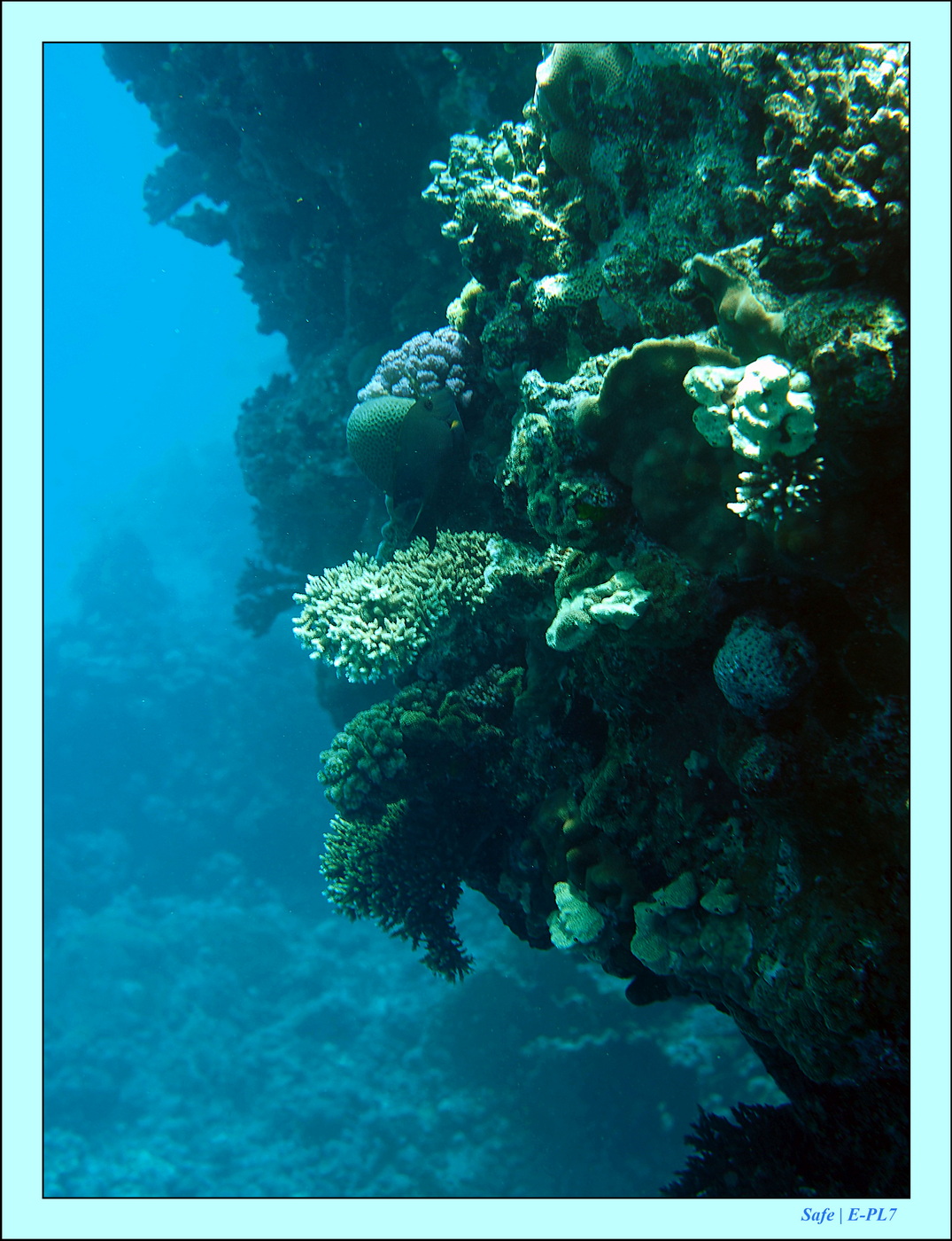 2023 - 03 - Charm El Sheikh - 33